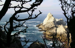 Point Lobos