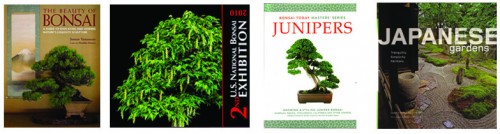 new books jan 2011
