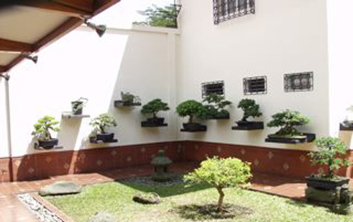 patio2