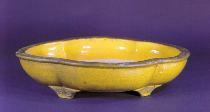 yellowpot