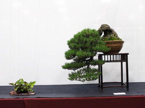 Best Bonsai & Best Bonsai Show – The 6th U.S. National – Stone Lantern