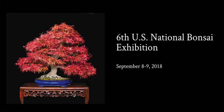 Three Magnificent Trees & the 6th U.S. National Bonsai Exhibition 