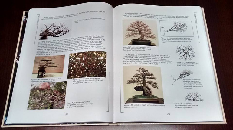 Bonsai techniques 1 pdf