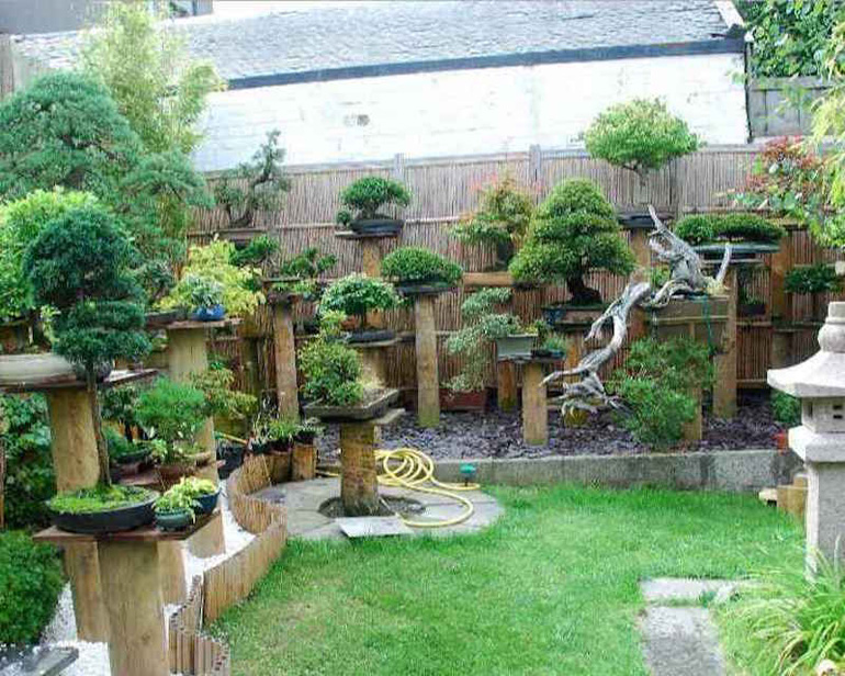 BYstreamlinkcom-bonsai-garden