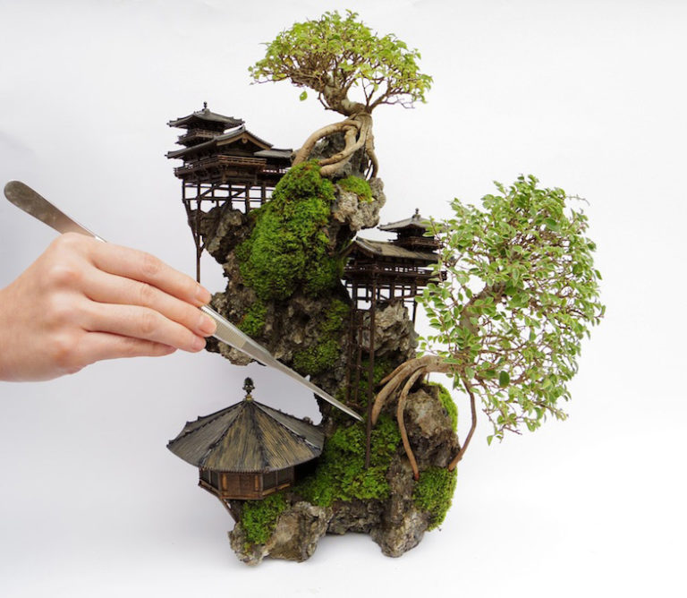 Magnificent Cliff Bonsai & Bjorn’s Advanced Bonsai Course Bonsai Bark