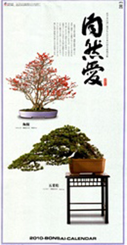 Bonsai Calendar Now 50 Off Plus Bonsai Bark