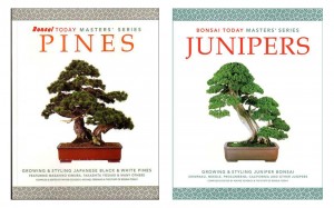 PINE & JUN BOOKS