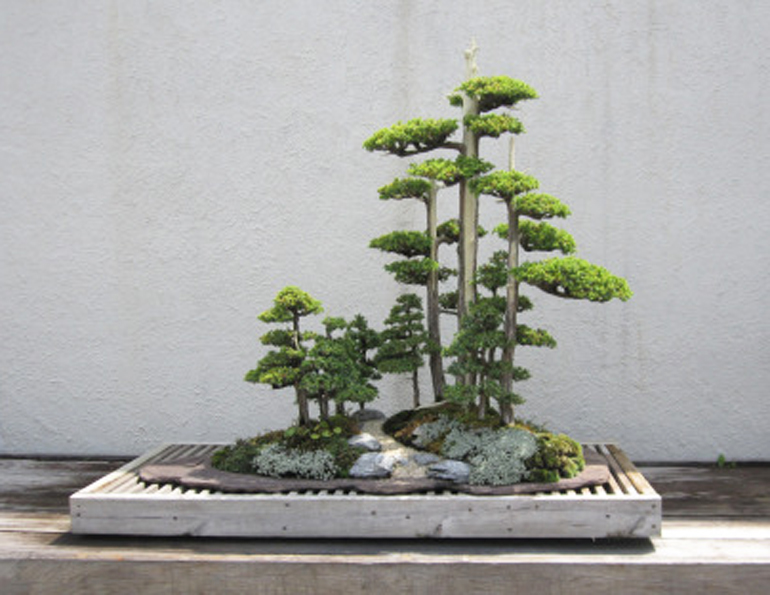bonsai-museum-009