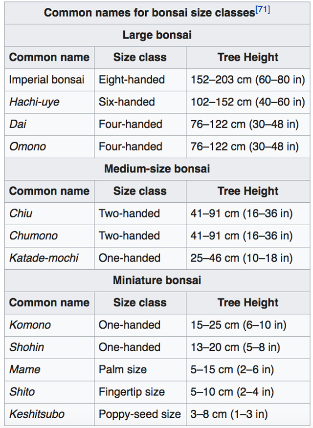bonsai sizes