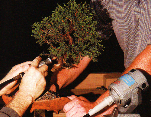 V-Kerf™ Power Carving Tools For Bonsai And Wood Carving - Small Shaft