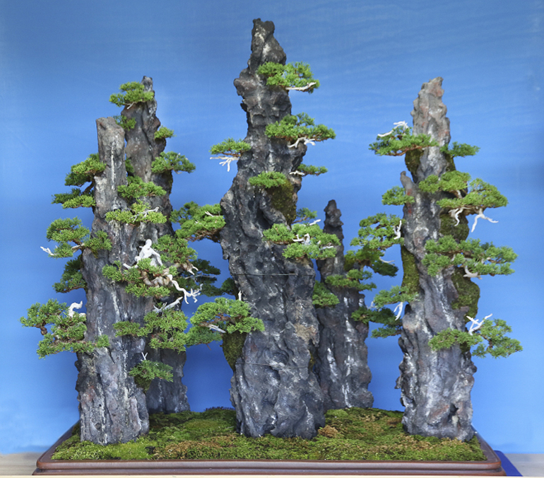 rock forest