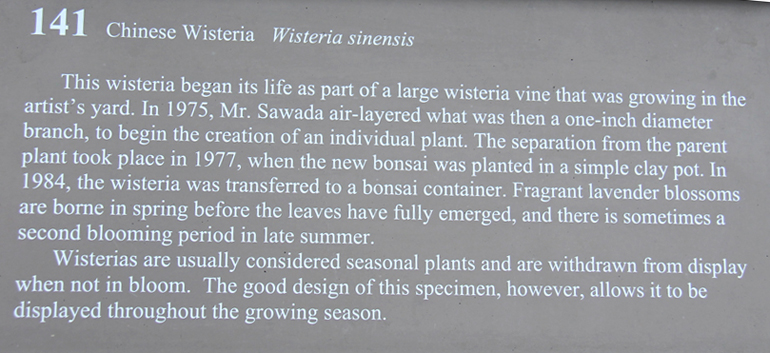 wisteriaPlaque